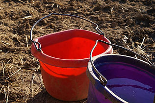 istockphoto-139868823-612x612.jpg