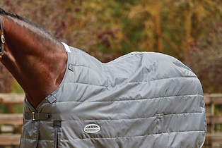 how-to-store-winter-horse-blankets.png