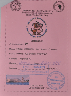 PANN STYLE BRANDY AKHTAMAR