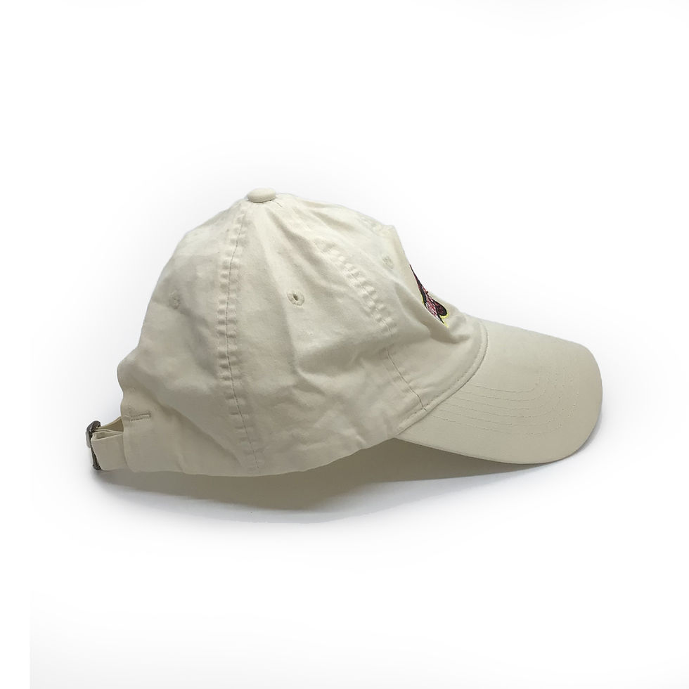 Thumbnail: Anatomy Park Hat