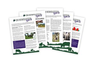 All-Newsletters.png