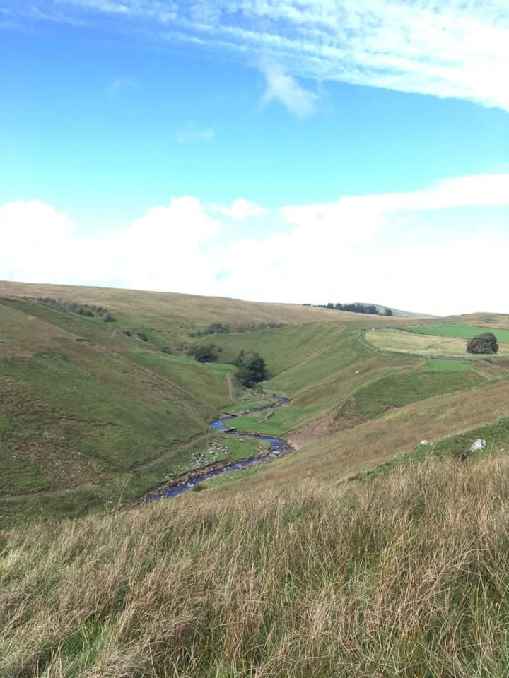 Walked Up Training Days in October