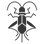 boxelder bug icon