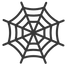 spider web icon