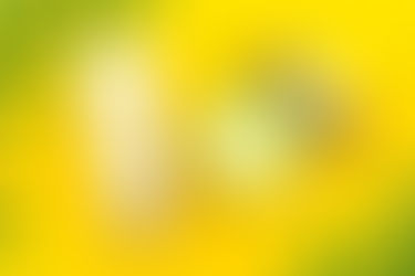 On the Topic of Cannabis Topicals