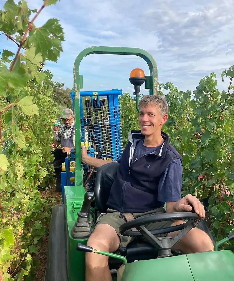 WINZER, WEIN UND FLAMMKUCHEN