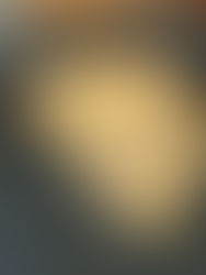 Bone-in Pork Chop with Mushroom Onion Cream Sauce