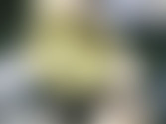 Spicy Cilantro & Pepper Sauce