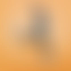 ShFIT Talk #12 Extra Sides, I said Exercise