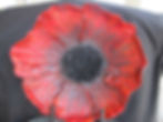 Poppy Power