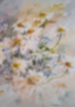 Dizzy Daisies