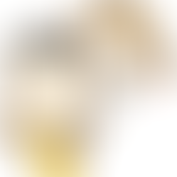 Portals Projects - Honor Them!