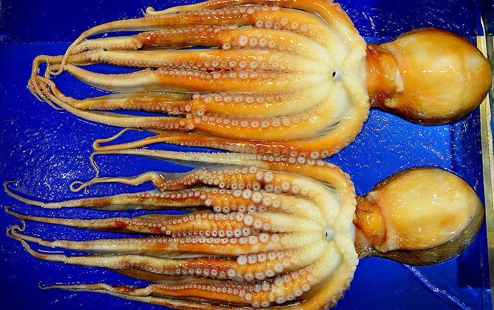 Noryangjin Fish Market Seoul