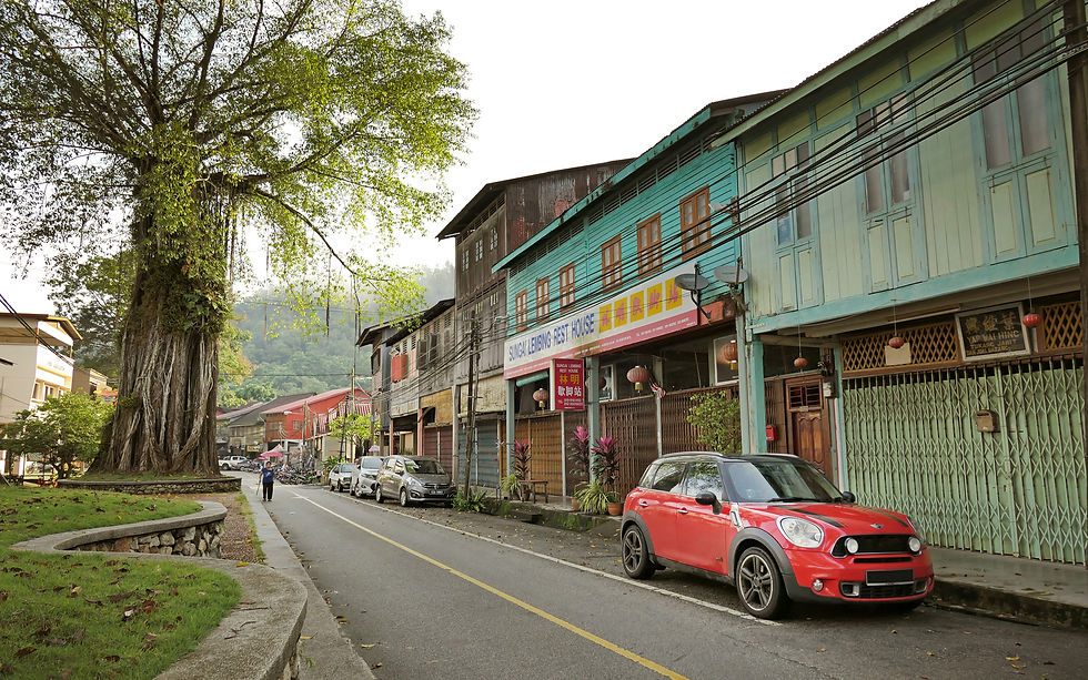 The charming nostalgic old town of Sungai Lembing with the iconic old tree.