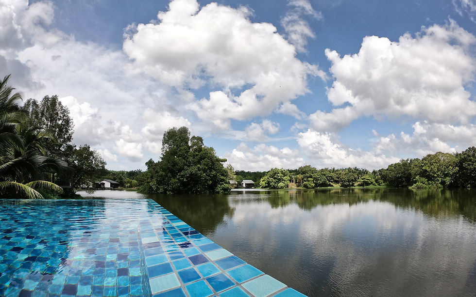 Hanging out on the edge of the infinity pool.