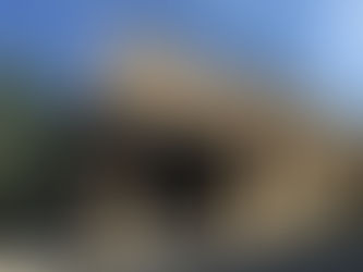 New Shake Shack Coming to Piedmont Park