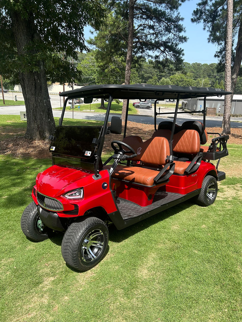 New 2024 Vcarts E-Series 6