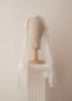 Thumbnail: VEIL I