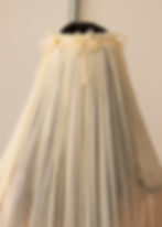Thumbnail: VEIL VI