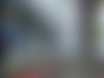 ✨Circuito Shinsen 2026: a Pieve di Cento il primo appuntamento competitivo 🥋