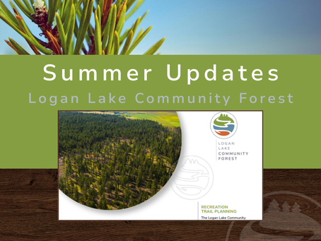 Summer Updates from the Logan Lake Community Forest