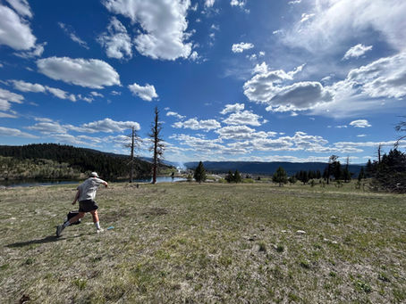 Disc Golf Continues to Grow in Logan Lake
