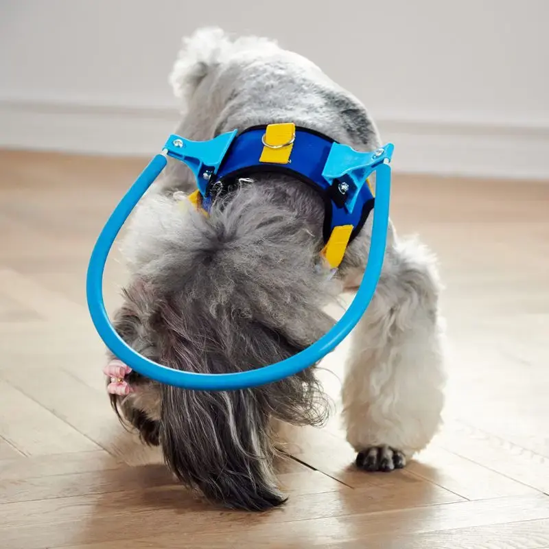 Blind Dogs Pet Safe Harness Anti-Collision Ring Pets Weak Color Guide Circle
