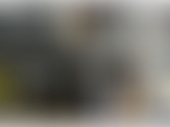 Solução para o Lixo Eletrônico no Projeto “LIXO ZERO SOCIAL 10”