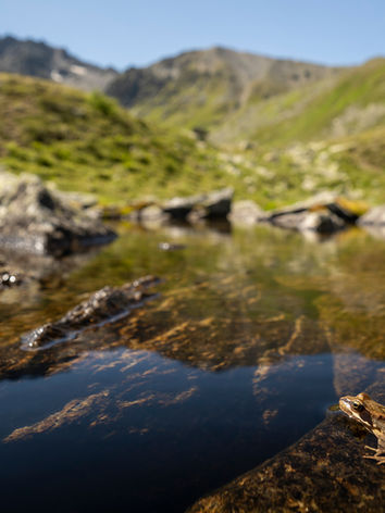 Platzertal c Sebastian Frölich (349).jpg