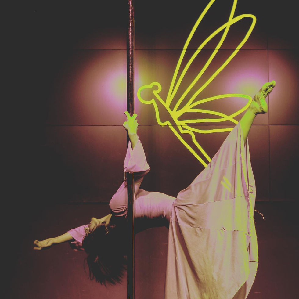 Dragonfly Clases de pole dance CDMX