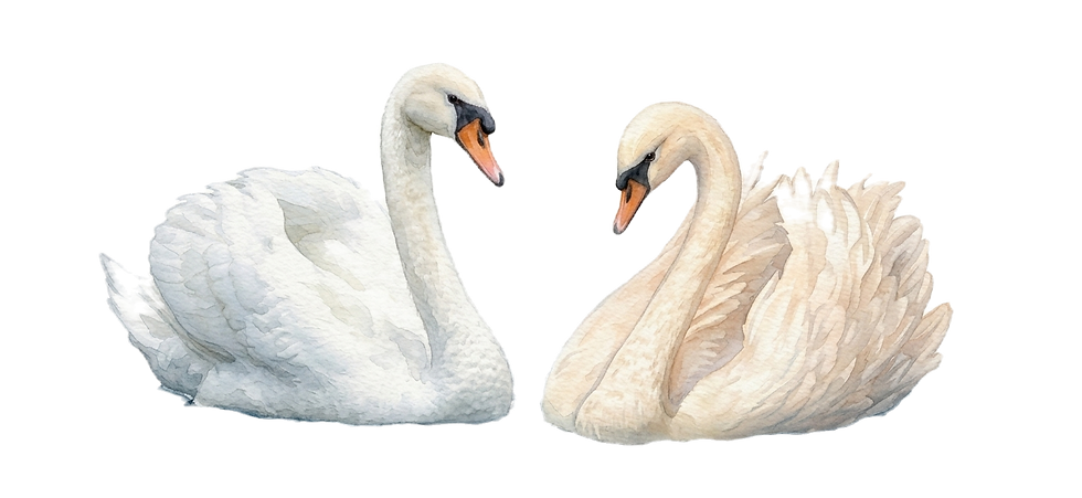 Gemini_Generated_Image_ukcaahukcaahukca_edited.png
