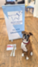 Congratulations Roxy