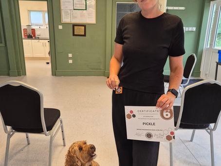 August '25 Newsletter and Blog - Pet Loss (sensitive subject)