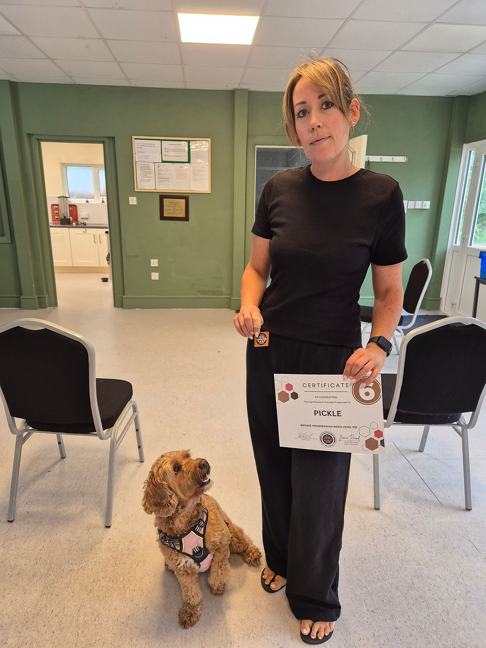 August '25 Newsletter and Blog - Pet Loss (sensitive subject)