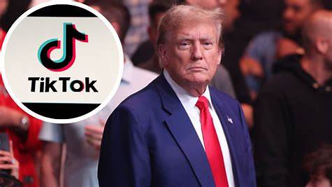 President-Elect Trump requests delay on Tiktok Ban