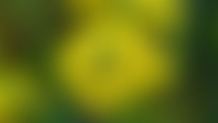 Mustard: suporte clínico para estados de melancolia sem causa aparente