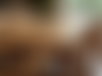 Luxury Furniture Care Tips for Lasting Elegance