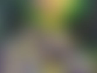 Sınav Kaygısı Nedir? Belirtileri ve Nasıl Geçer?