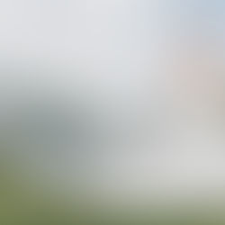 Boda en Eventos Carolina: Jiseth+Victor