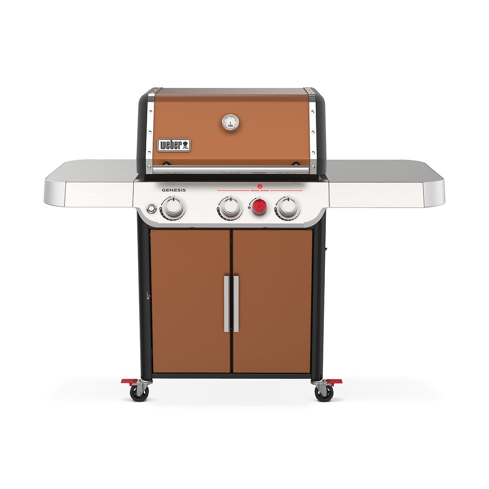 Miniature : Weber Genesis E-325s