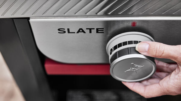 Miniature : Weber Plancha 30po
