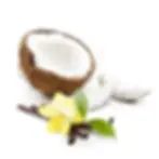 Vanilla Coconut and Cream