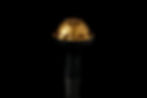 Thumbnail: Kaloud Lotus