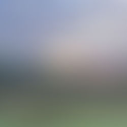 On Freedom and Cages