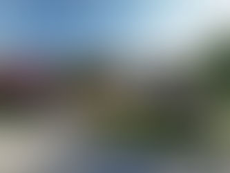 Az Su İsteyen Peyzaj Bitkileri (Bursa İçin Uygun Türler)