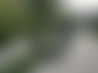 Bursa Bahçe Bakımı ve Peyzaj Tasarımı Rehberi (2026 Güncel)