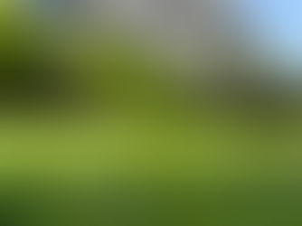 Çim Ekimi mi Rulo Çim mi? Hangisi Daha Avantajlı?