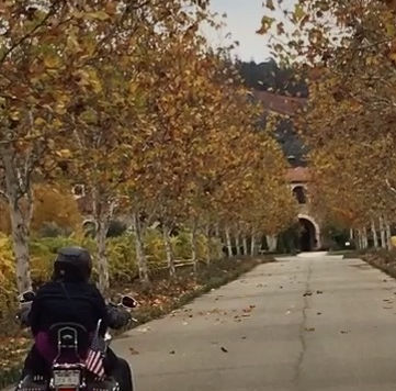 Happy Fall Ya'll!