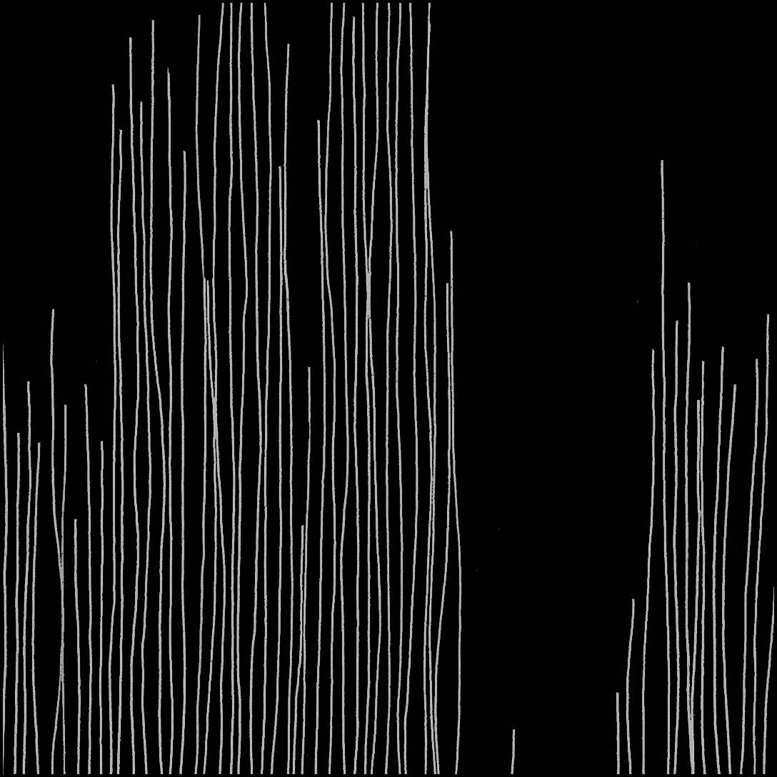 TRAUMRAUM_Maja Müller_1.gif
