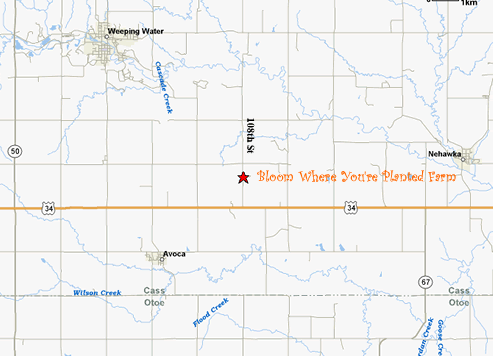 Map to Bloom Where You're Planted Farm and Pumpkin Patch, Avoca, Nebraska